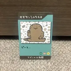 ナガノの水族館　トレーディングカード　オオサンショウウオ