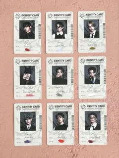 &TEAM andteam 月狼 通常盤 IDENTITY CARD コンプ