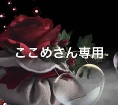 ここめさん専用