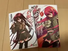 灼眼のシャナ 1巻 高橋弥七郎 漫画 ラノベ 2冊 セット ライトノベル