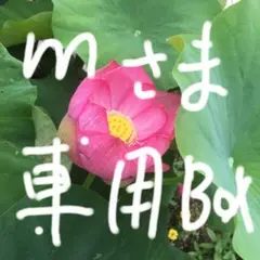 真如苑グッズm様専用ボックス