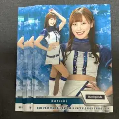 Item thumbnail for item 84a3a988-53ff-47b1-a7db-4417ddeefe69