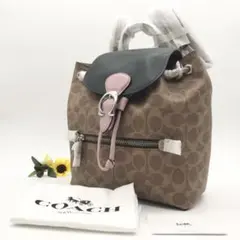 COACH リュック 大人気!! イーヴィーバックパック22 シグネチャー 新品
