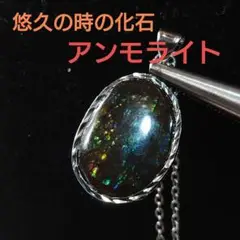 【悠久の時の化石】ブルーとグリーンシラーの美しいアンモライトのネックレス e