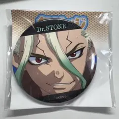 Dr.STONE 宝島 場面写 缶バッジ eeo 石神千空