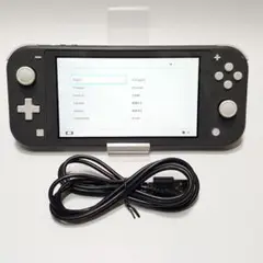 652【動作良好】Nintendo Switch Lite グレー 本体