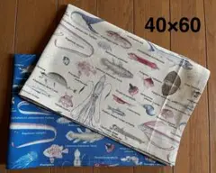 深海魚★単品ランチョンマット２枚セット40×60★給食ナフキン大判サイズ
