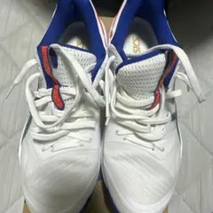 Item thumbnail for item 383be756-ce43-4728-b485-bb76667347fd