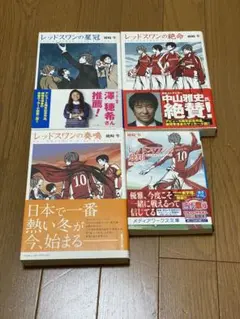 綾崎隼　レッドスワンの絶命　星冠　奏鳴　飛翔　4冊セット