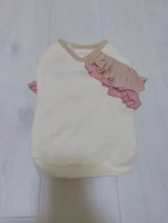 Item thumbnail for item b1fba512-ff81-415c-8a65-15f73a25570e