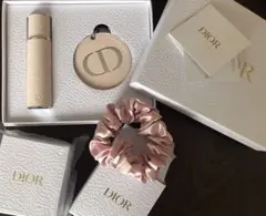 クリスチャンディオール Dior トラベルスプレー シュシュ ミラー