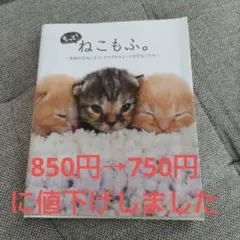 もっと！ねこもふ。   子ねこ写真集