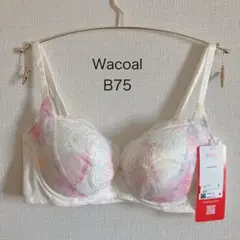 Item thumbnail for item 37a880c1-2a3c-46a4-a736-6ead546c5627