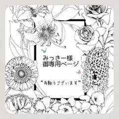 ₊✼̥୭*ˈみっきー様御専用ページ₊✼̥୭*ˈ