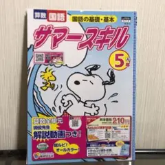 サマースキル5年 ドリル