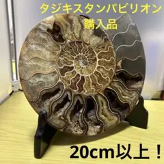 Item thumbnail for item b9674307-926e-47b7-9d1c-96dbd304f1f4