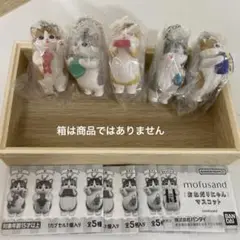 mofusand おねだりにゃんマスコット　モフサンド　５種コンプリート ガチャ