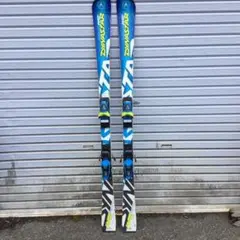 ダイナスター WC SPEED omegrass