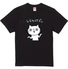 【ラスト1点】しらんけどＴシャツ　Mサイズ　ブラック