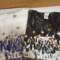 東京ヤクルトスワローズ　優勝胴上げＴシャツ L 2枚セット　未開封