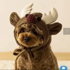 Item thumbnail for item 1b6927dd-a20e-4148-b4e1-b6e441c611cf