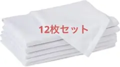 Item thumbnail for item 17b6b3b8-5cee-4e12-bc67-82fd9a603ed6