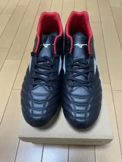 Mizuno Monarcida Neo Ⅲ SELECT 29.0