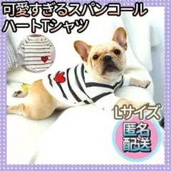 可愛すぎるボーダーTシャツL 犬服 犬の服 犬洋服 犬夏服 ペット 犬Tシャツ