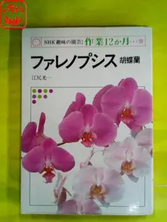 NHK趣味の園芸　ファレノプシス　胡蝶蘭