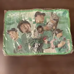 ヤクルト　野球　限定　ポーチ　新品　未使用