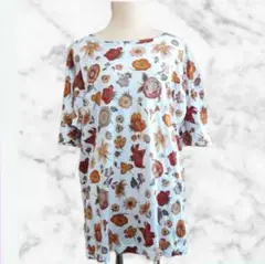 レディース Tシャツ 花柄 大きいサイズ 2Lのモデルが着れました ゆるだぼ