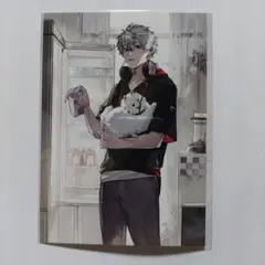 にじさんじ　葛葉　メディキュット特典　ブロマイド