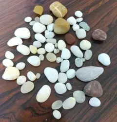 白くて丸い石　たくさん