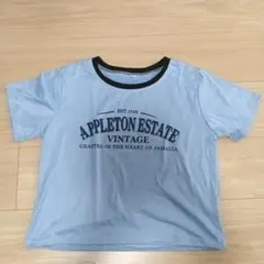 APPLETON ESTATE ビンテージ Tシャツ
