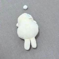 専用