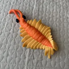 海の恐竜&co アノマロカリス