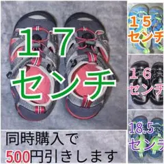 KEEN17センチ☆ホームクリーニング済み☆青☆ブルー☆ノースフェイス好き