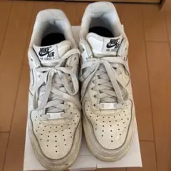 Item thumbnail for item ae5730d4-c3e8-4a3f-9220-4ce0fb849476