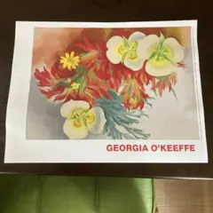 ⭐︎非売品⭐︎コムデギャルソン　GEOGIA O'KEEFFE