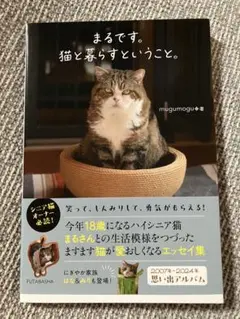 まるです。猫と暮らすということ。　mugumogu