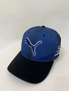 Item thumbnail for item 496ebeae-0759-4710-bbb8-9840b156e663