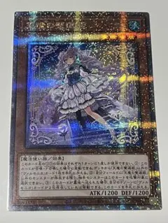 セレトリーチェヴァルモニカ 25シク ヴァルモニカ・シェルタ(25thシク) | クォーターセンチュリー