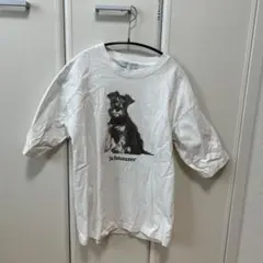 【希少】ミニチュアシュナウザー＊Tシャツ＊ユナイテッドアローズ