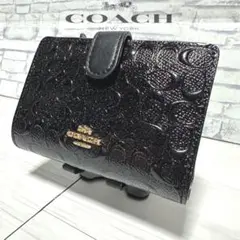 Item thumbnail for item d565e0fd-b85c-454f-909c-4060257ae2a5