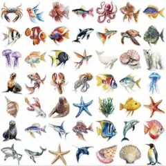 海の生き物ステッカーPETシール魚イルカマリンデコレーション飾り水族館コラージュ