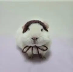 Item thumbnail for item c04799b3-b0fa-47da-a40a-9c9cec328dda