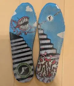 フットプリント インソール 24cm