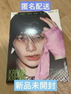 Stray Kids KARMA アコーディオン　アイエン新品未開封