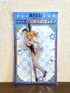 ぬきたし 片桐奈々瀨 ドン・キホーテ BIGアクリルスタンド バニー ver.