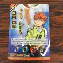3601 頂バボ 日向 翔陽 ハイキューバボカ ハイキュー